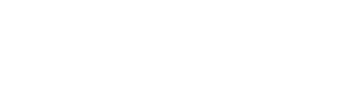 Первая Академия Медиа
